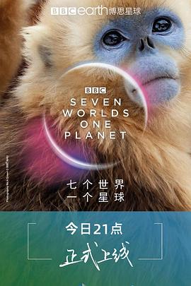 白日梦想事务所