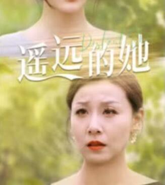 魔女与使魔